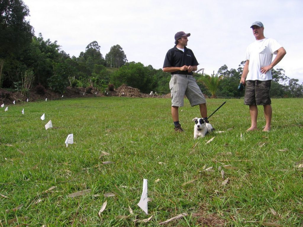 Training for a hidden fence containment system