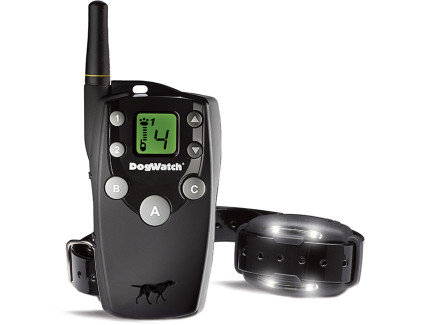 best dog training collar