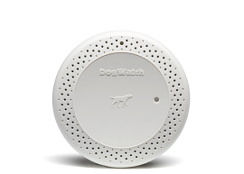 wireless dog fencing