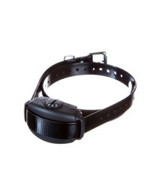 no-bark-collars