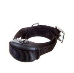 Sidewalker Walking Trainer