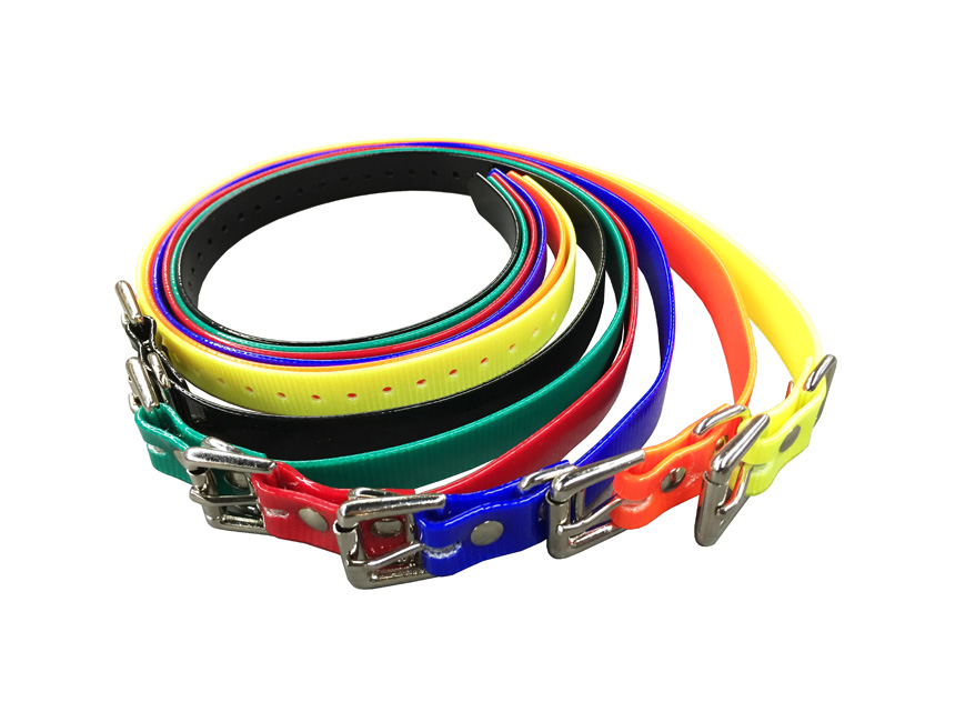 best dog training collar