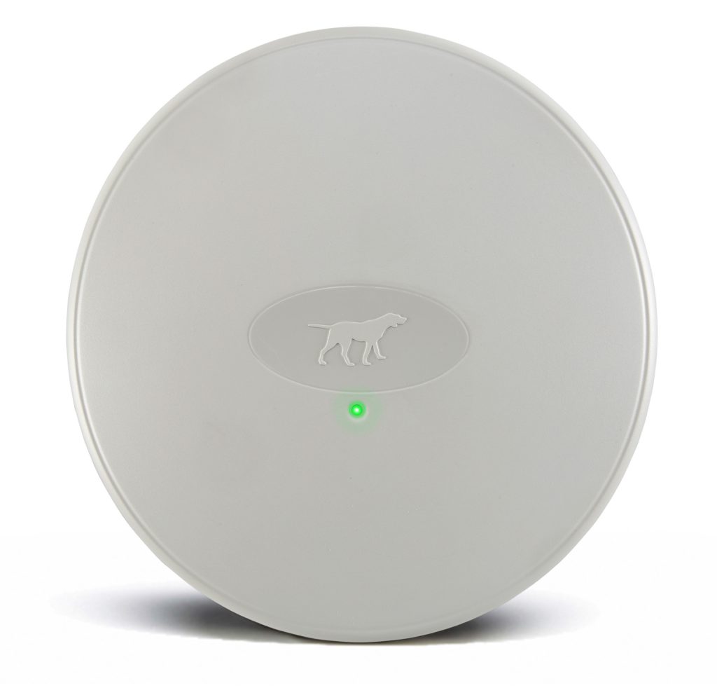 Wireless Dog Fence