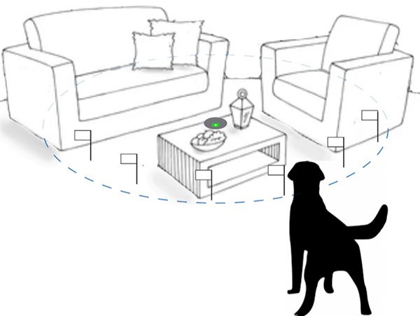 Wireless Dog Fence