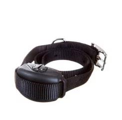 best dog training collar