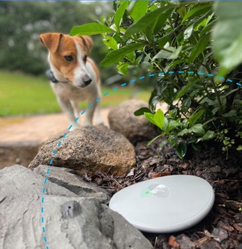 dog electric fence
