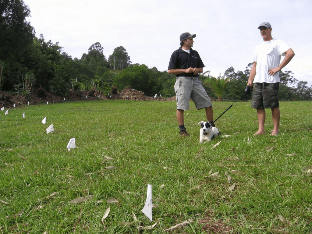 Premium Virtual Dog Fence With Professional Installation and Training