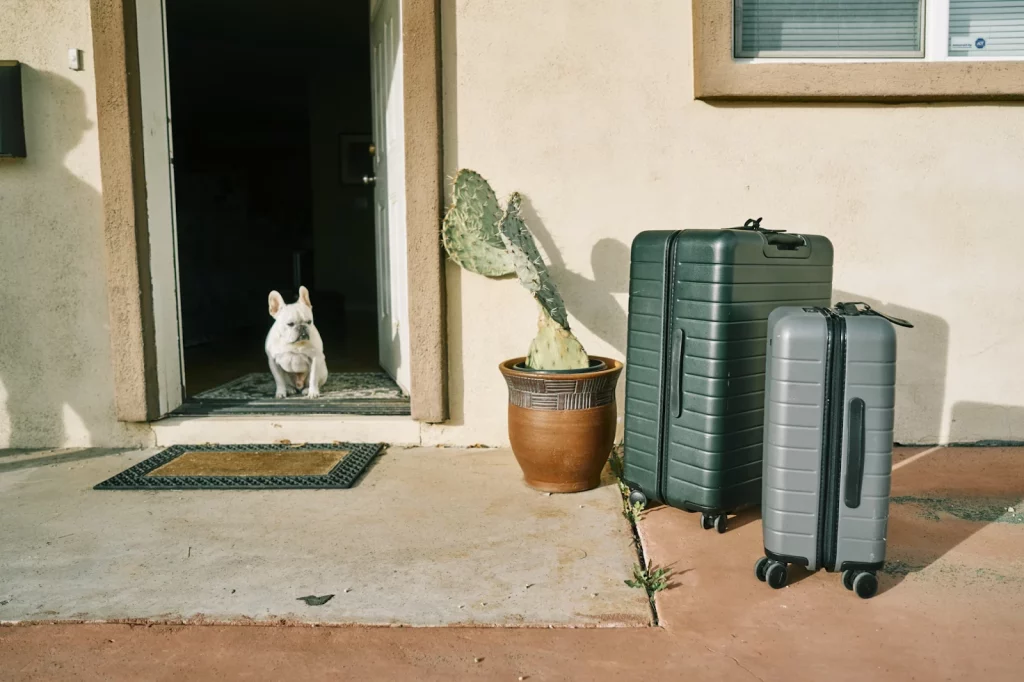 Take Your Electric Dog Fence On Holidays With You