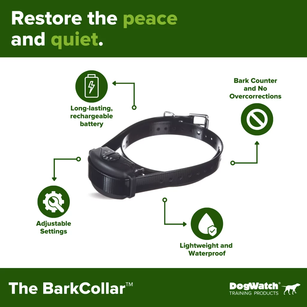 professional dog training equipment