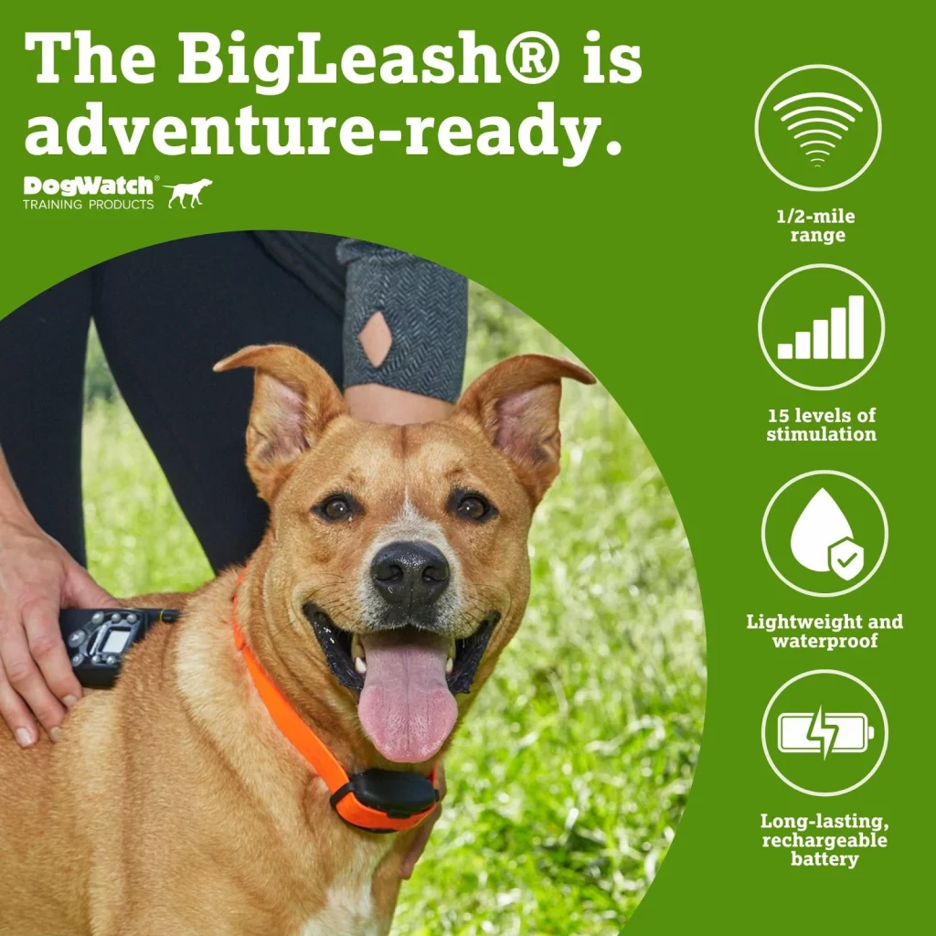 professional dog training equipment