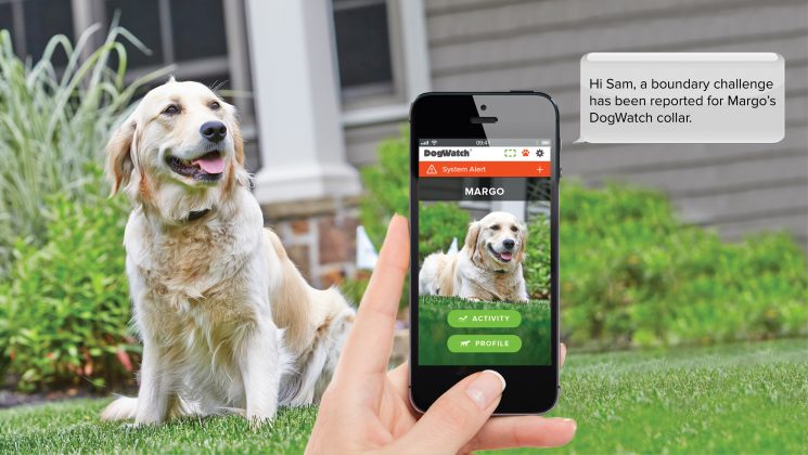 Smart Dog Fence