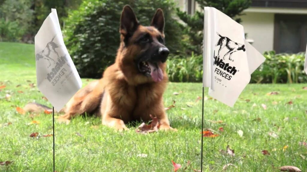 Hidden Fence flag training