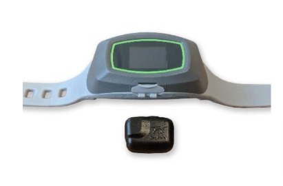 GPS Dog Fence Collar