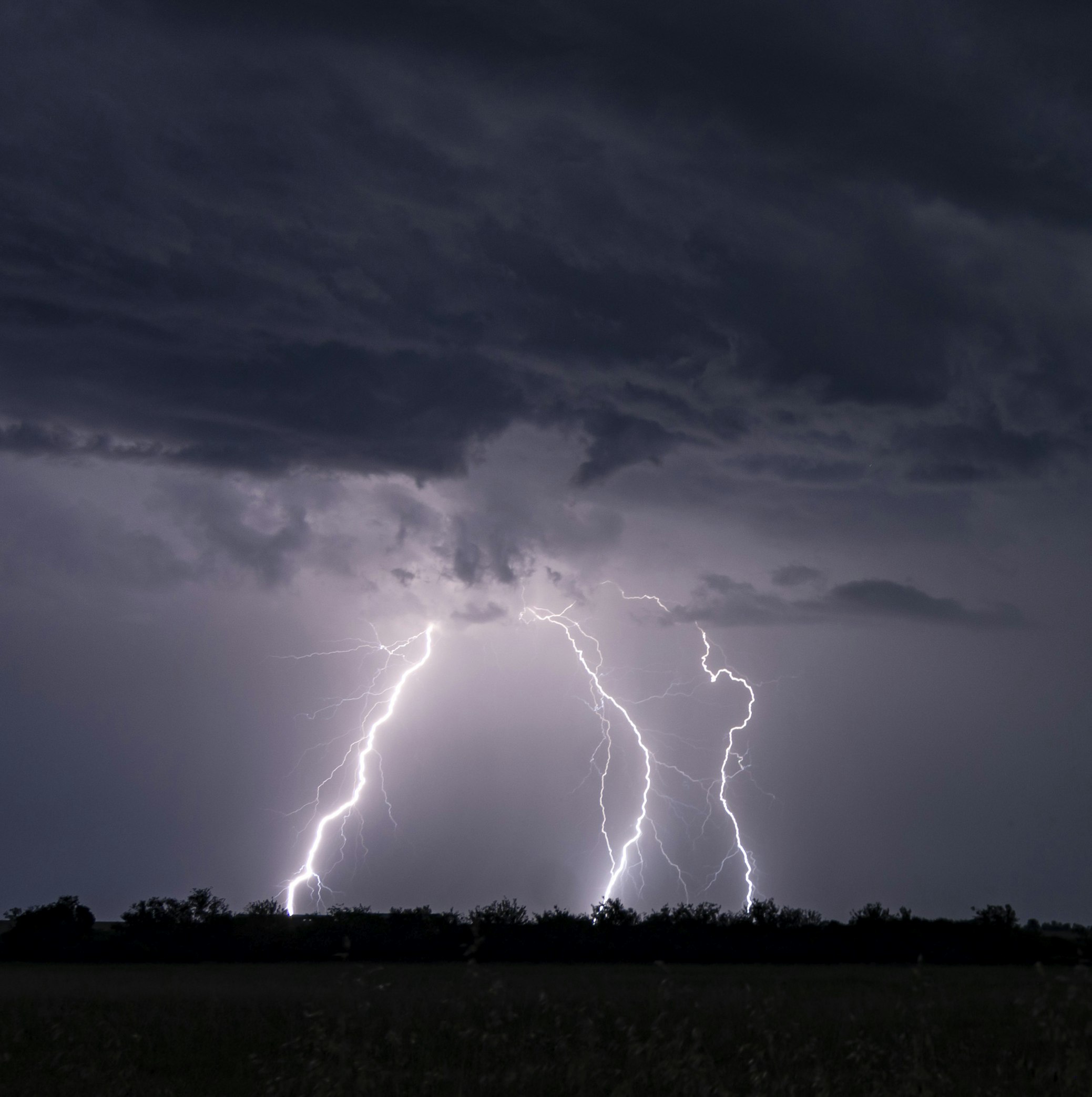 Keep Your Dogs Safe During Summer And Storm Season With Our Hidden Fence Surge and Lightning Protection Kit