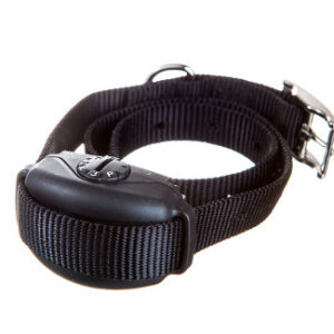 Dog Walking Trainer - SideWalker by DogWatch
