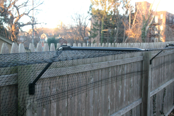 Dog fence - How big does it need to be